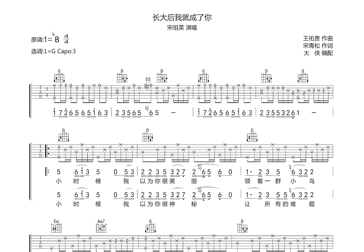 长大后我就成了你吉他谱预览图