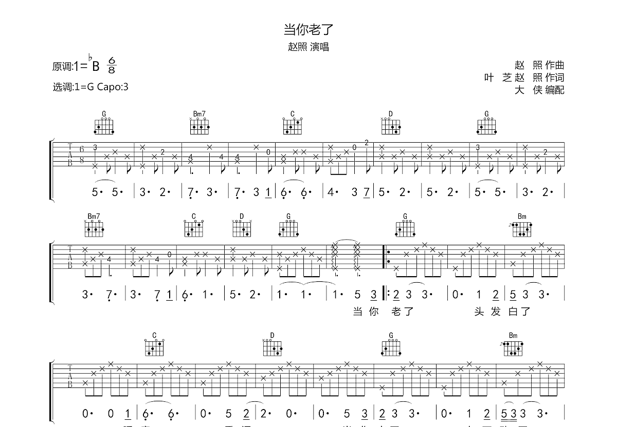 当你老了吉他谱预览图