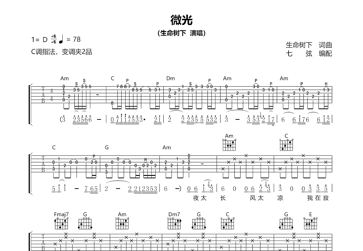 微光吉他谱_生命树下_C调弹唱