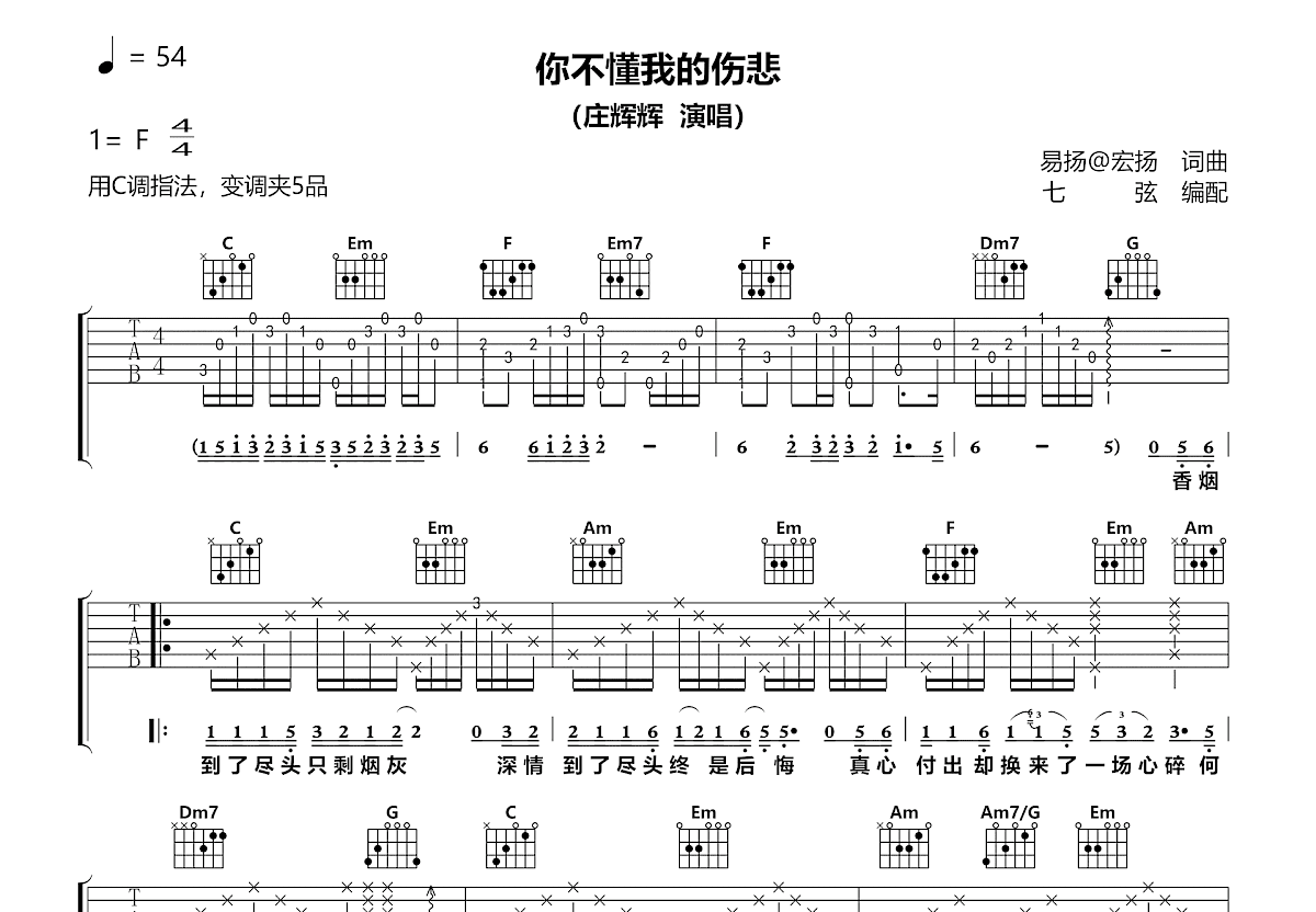 你不懂我的伤悲吉他谱_庄辉辉_C调弹唱