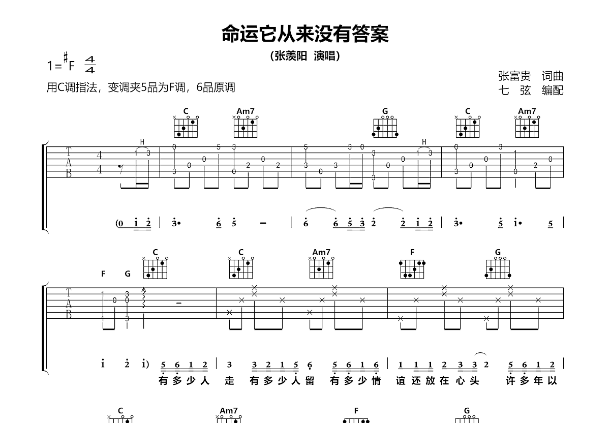 命运它从来没有答案吉他谱预览图