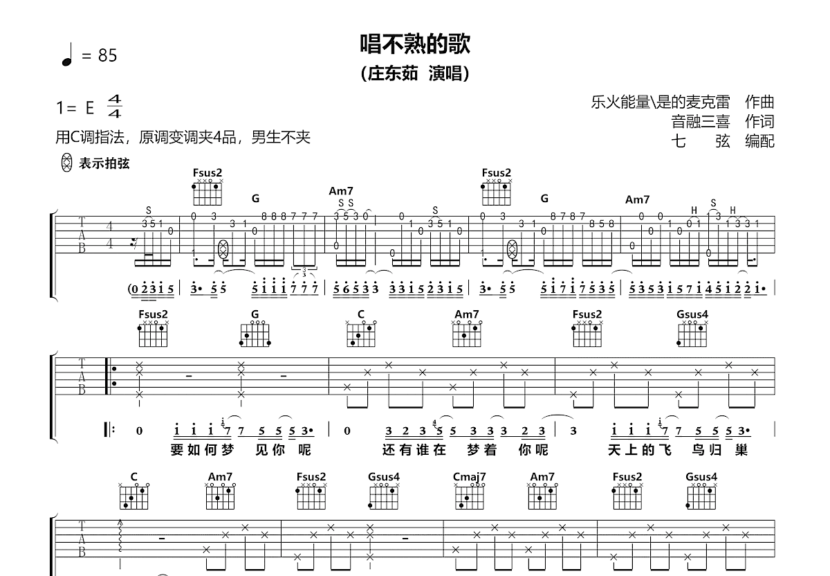 唱不熟的歌吉他谱预览图