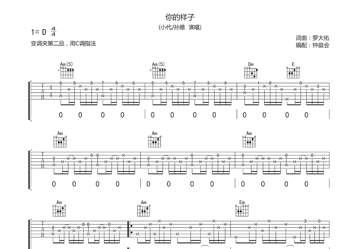 你的样子吉他谱预览图