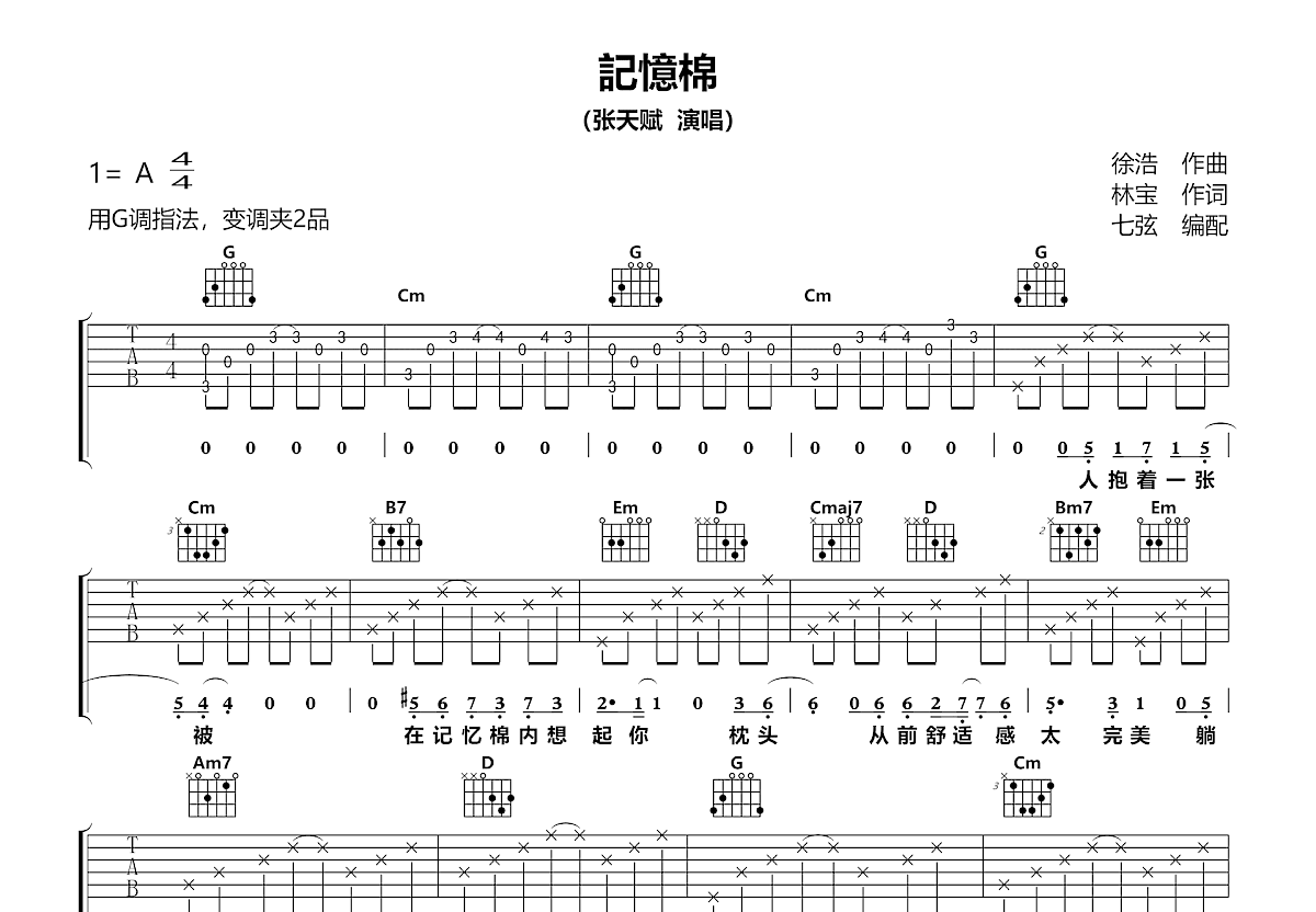 記憶棉吉他谱_张天赋_G调弹唱