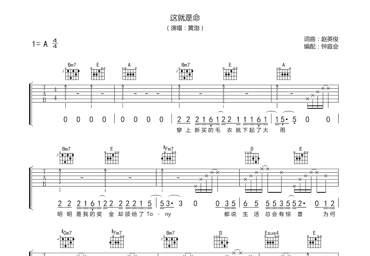 这就是命吉他谱预览图