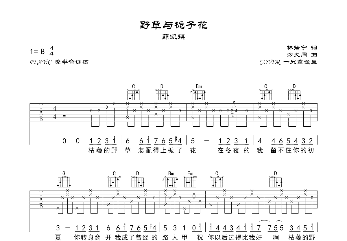 野草与栀子花吉他谱预览图