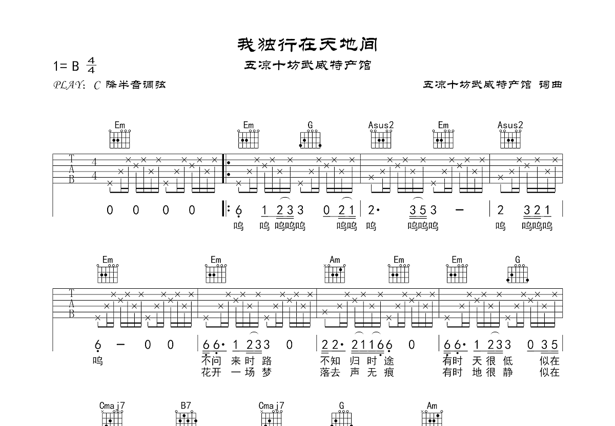 我独行在天地间吉他谱预览图