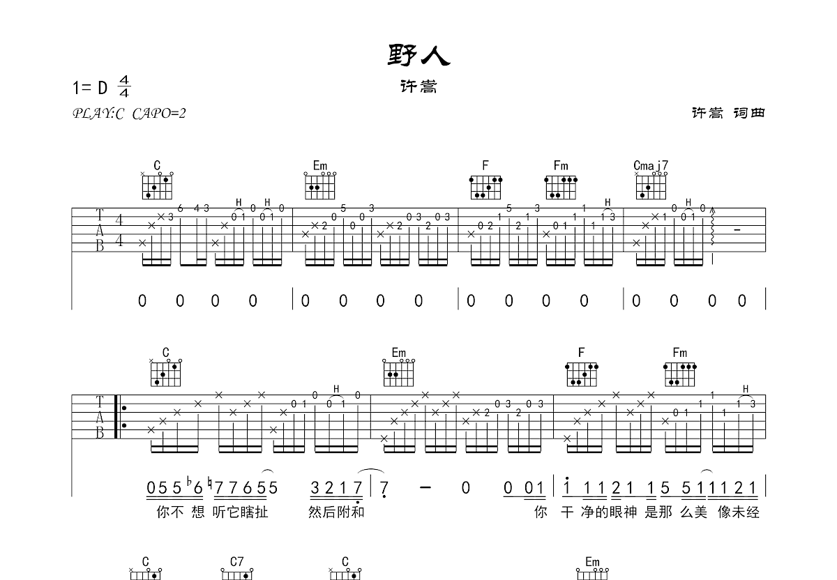 野人吉他谱预览图