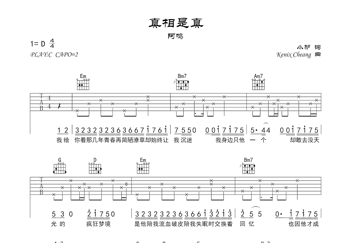 真相是真吉他谱预览图