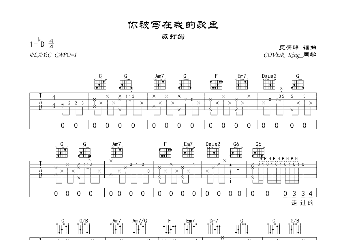 你被写在我的歌里吉他谱预览图