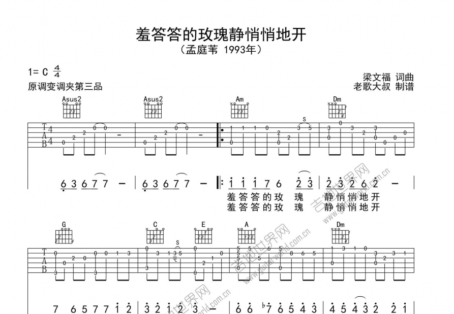 羞答答的玫瑰静悄悄的开吉他谱预览图