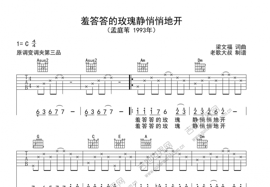 羞答答的玫瑰静悄悄的开吉他谱预览图