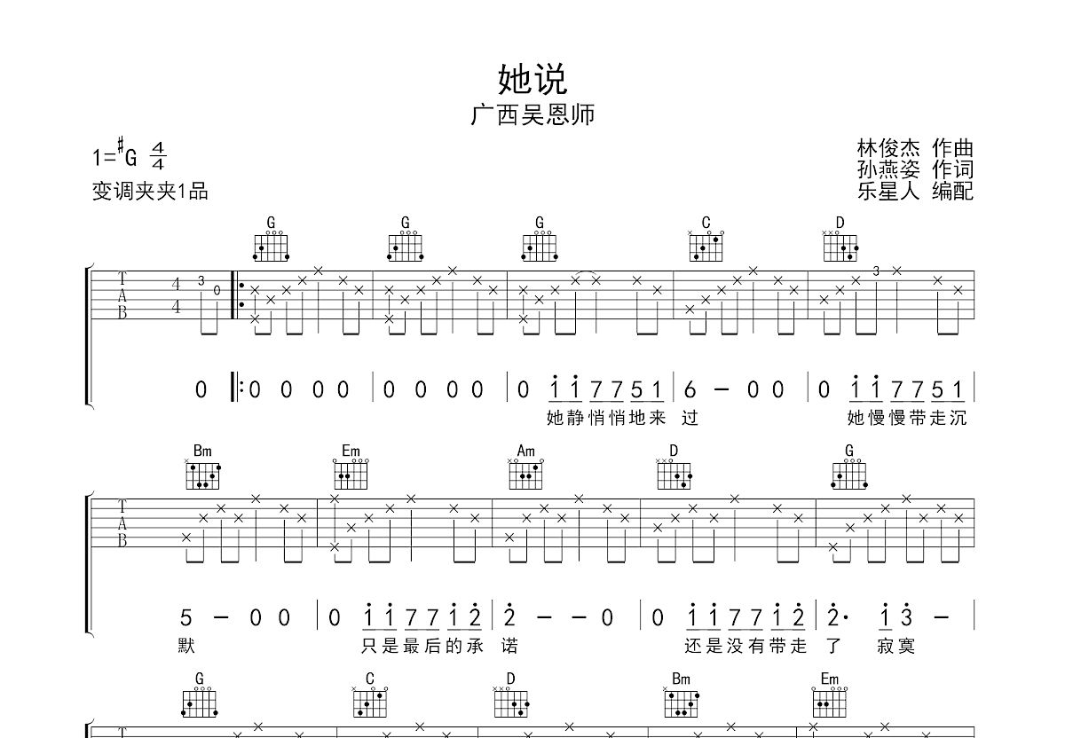 她说吉他谱预览图