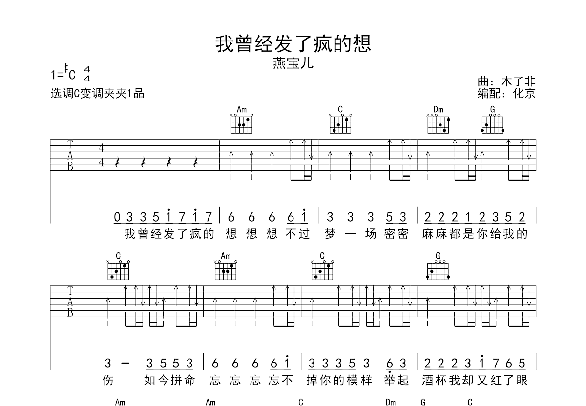 我曾经发了疯的想吉他谱_燕宝儿_C调弹唱