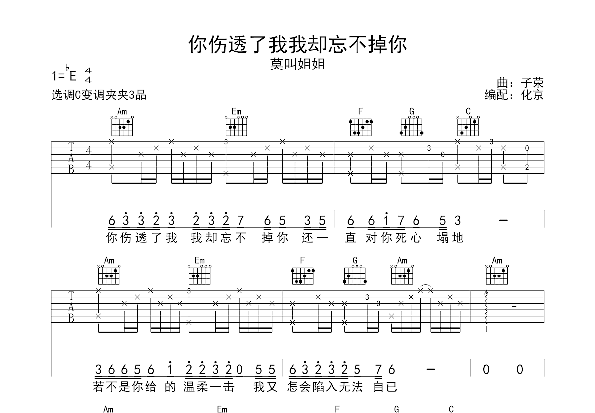 你伤透了我我却忘不掉你吉他谱预览图