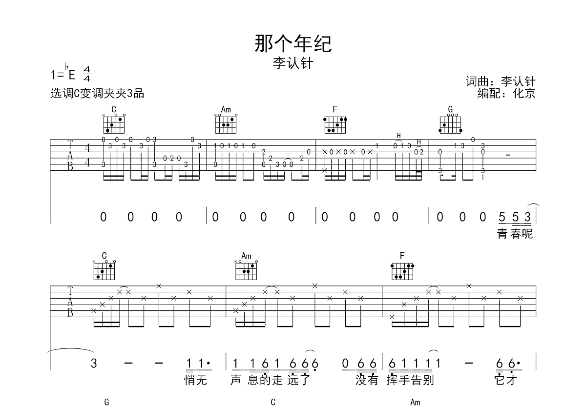 那个年纪吉他谱预览图