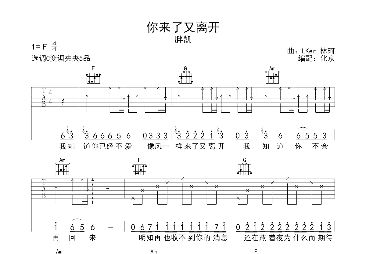 你来了又离开吉他谱预览图