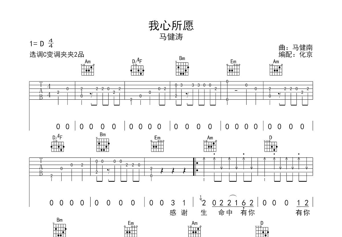 我心所愿吉他谱预览图