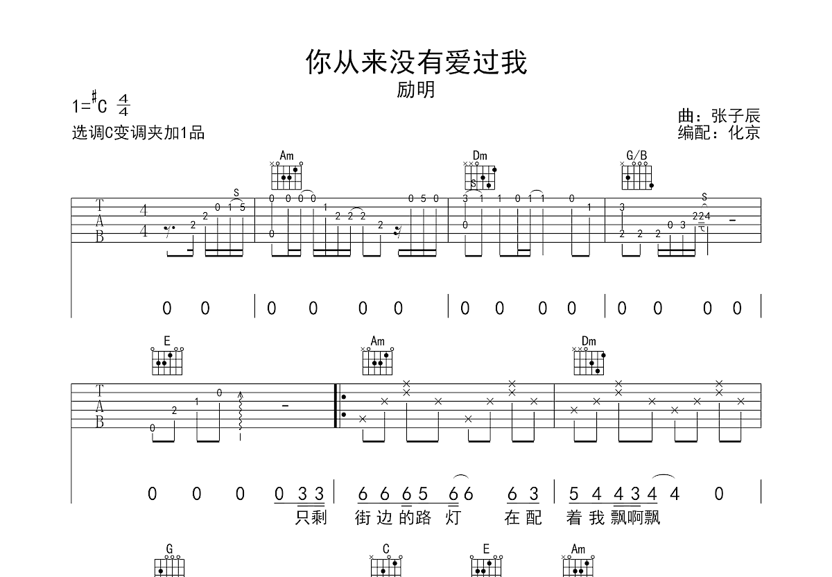 你从来没有爱过我吉他谱预览图