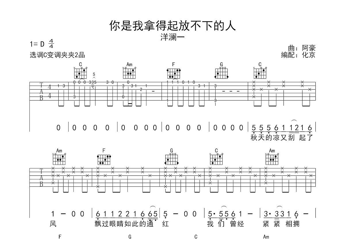 你是我拿得起放不下的人吉他谱预览图