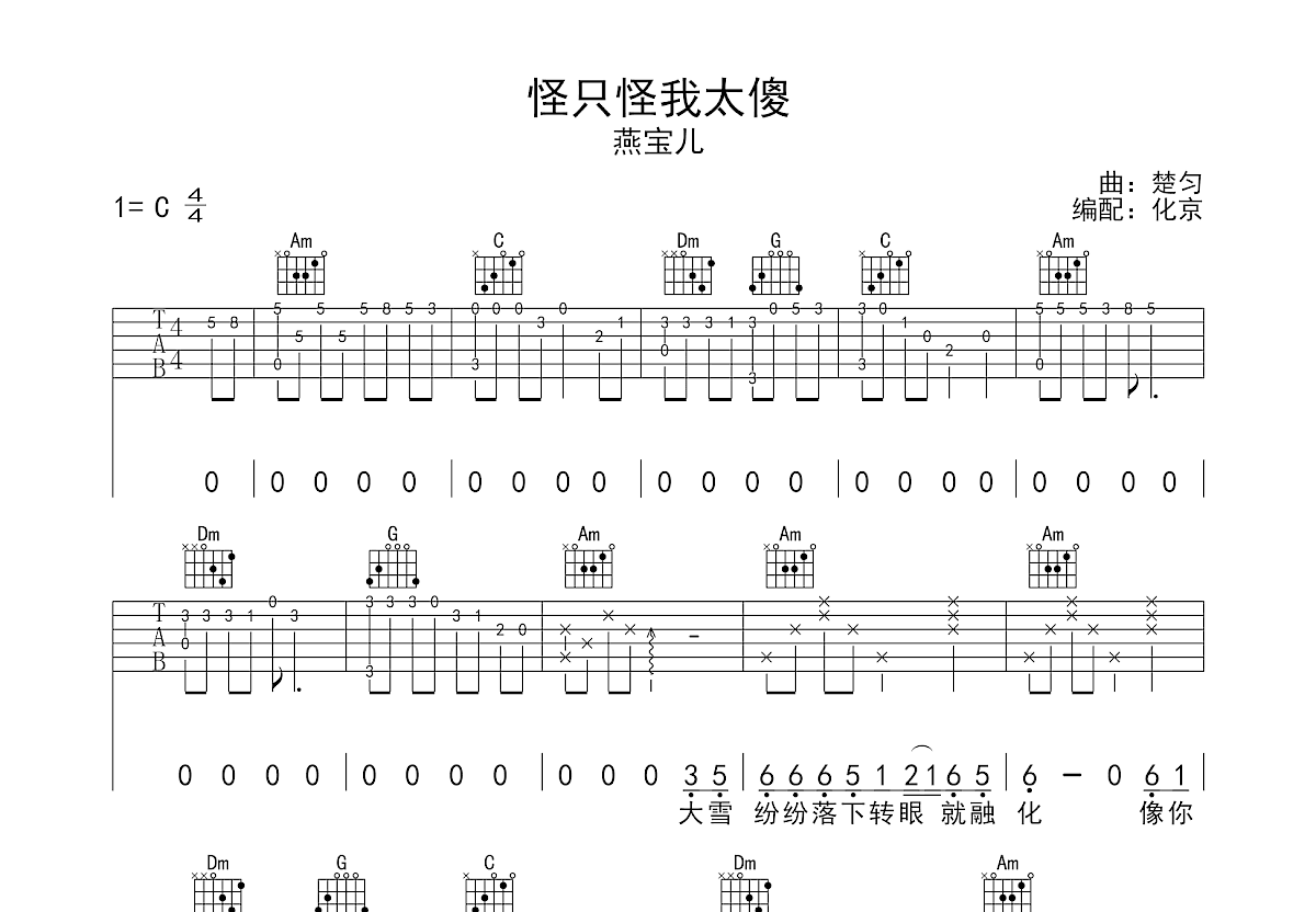 怪只怪我太傻吉他谱预览图