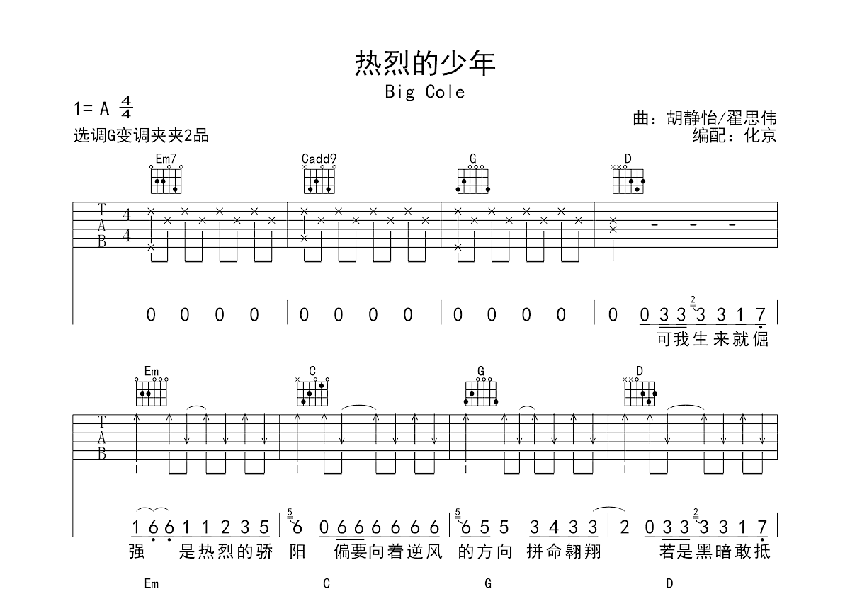 热烈的少年吉他谱预览图