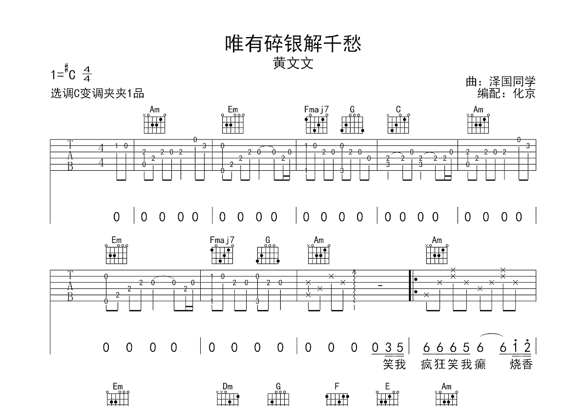 唯有碎银解千愁吉他谱预览图