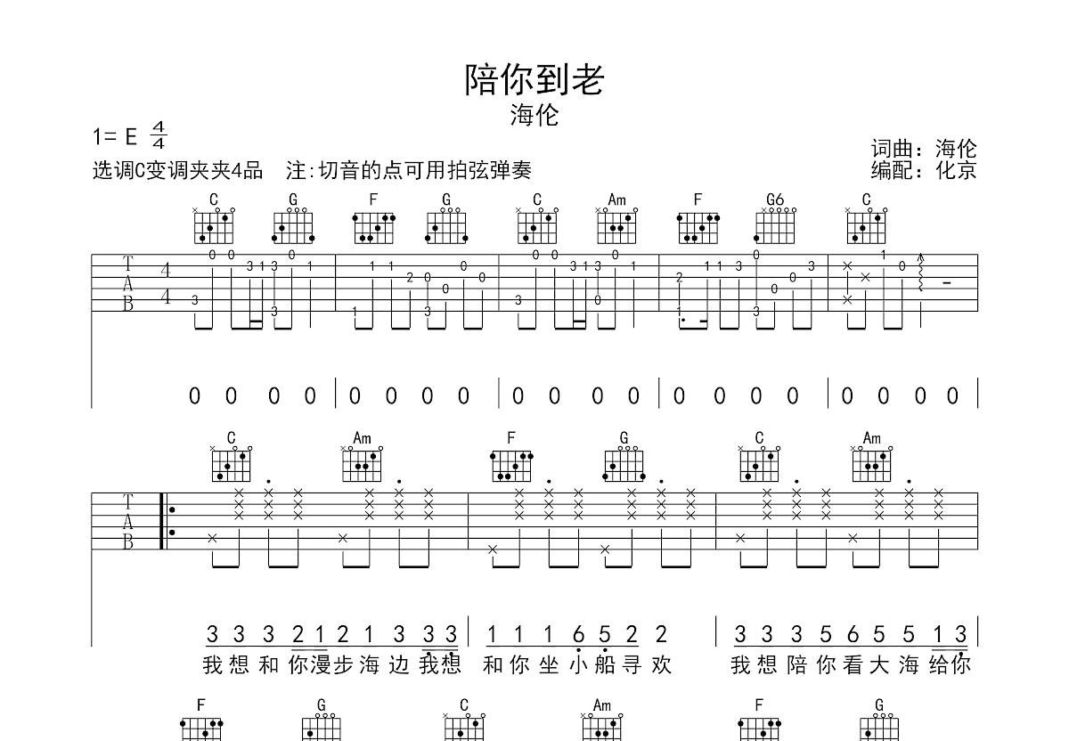 陪你到老吉他谱预览图