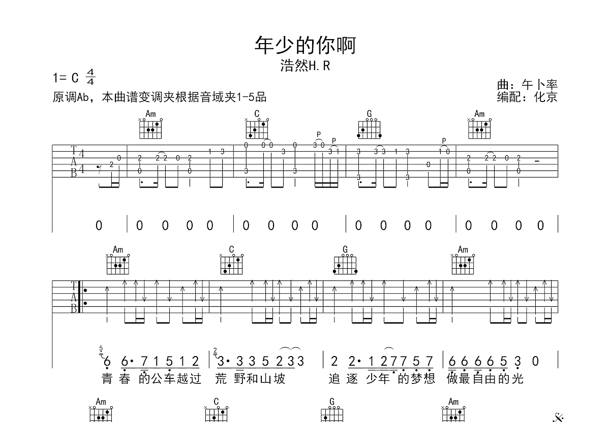 年少的你啊吉他谱预览图