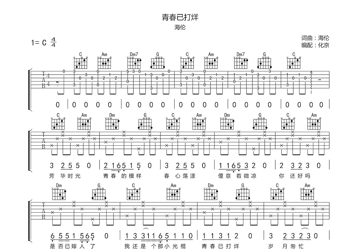 青春已打烊吉他谱预览图