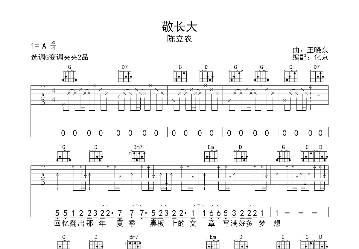 敬长大吉他谱预览图