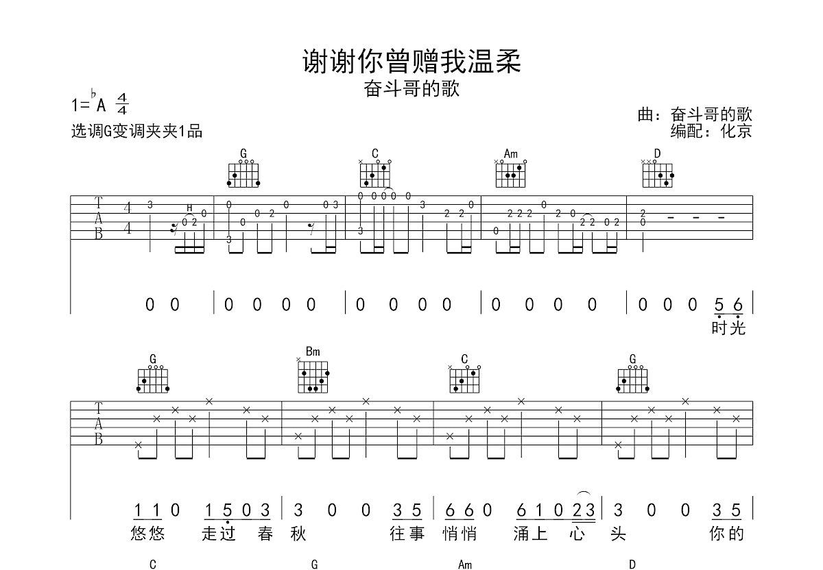 谢谢你曾赠我温柔吉他谱预览图