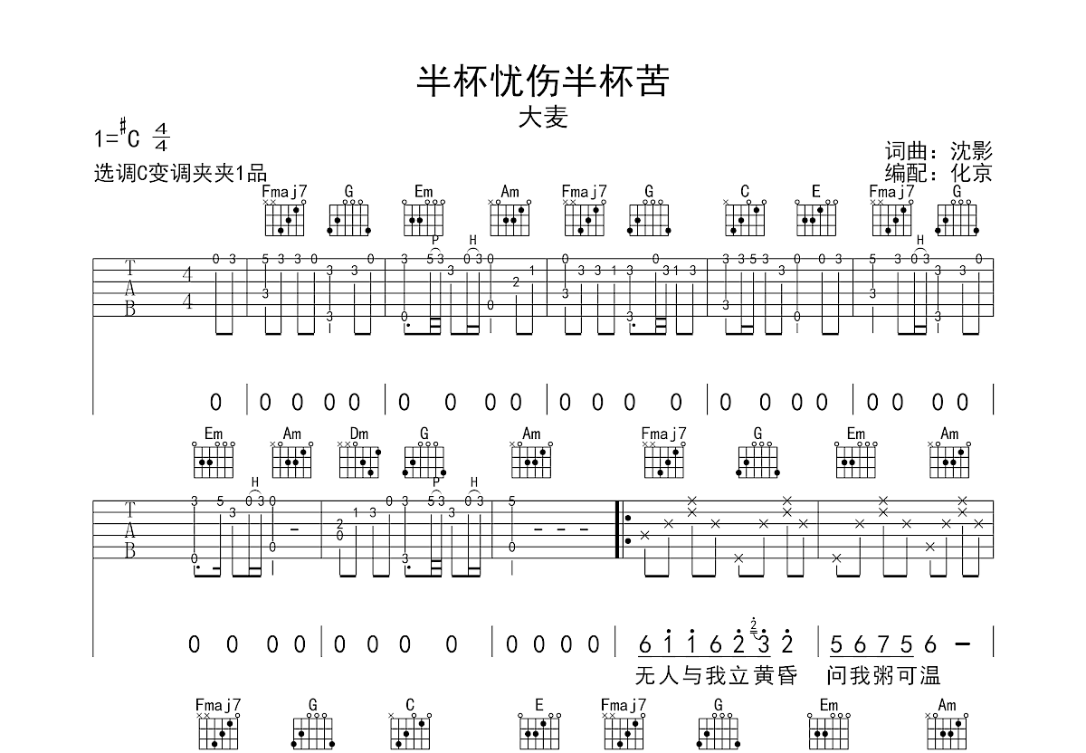 半杯忧伤半杯苦吉他谱预览图