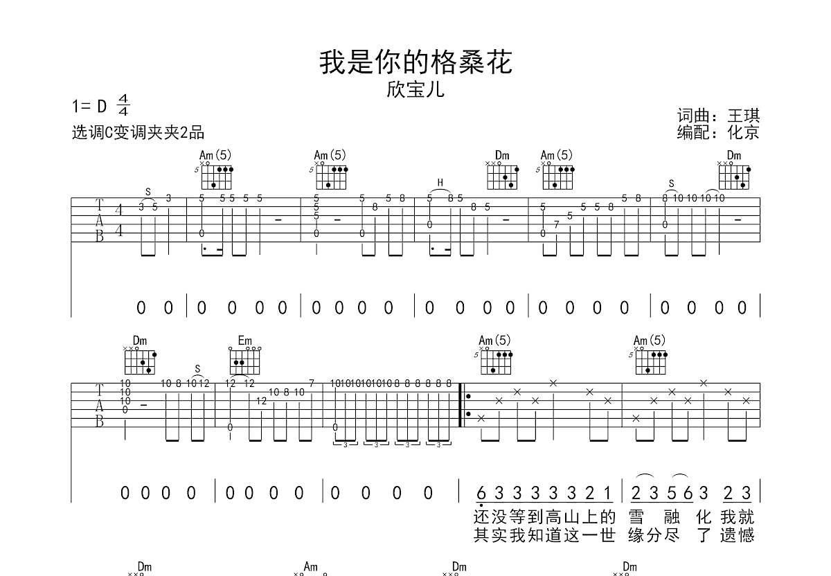 我是你的格桑花吉他谱预览图