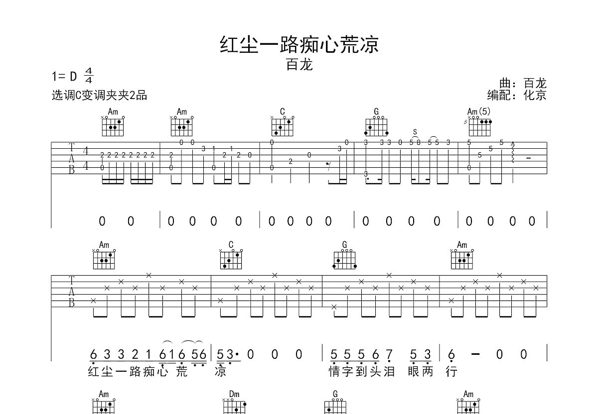 红尘一路痴心荒凉吉他谱预览图