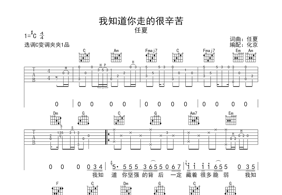 我知道你走的很辛苦吉他谱预览图