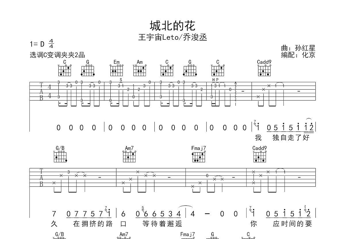 城北的花吉他谱预览图