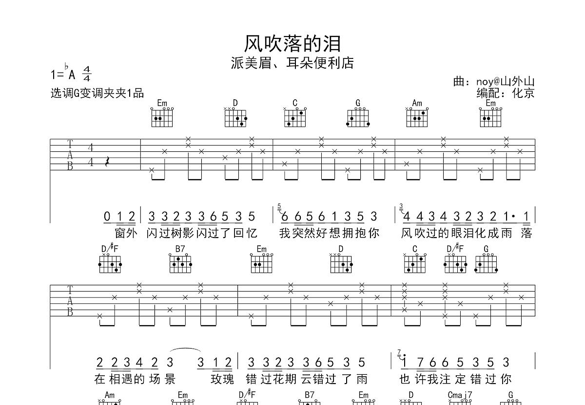 风吹落的泪吉他谱预览图