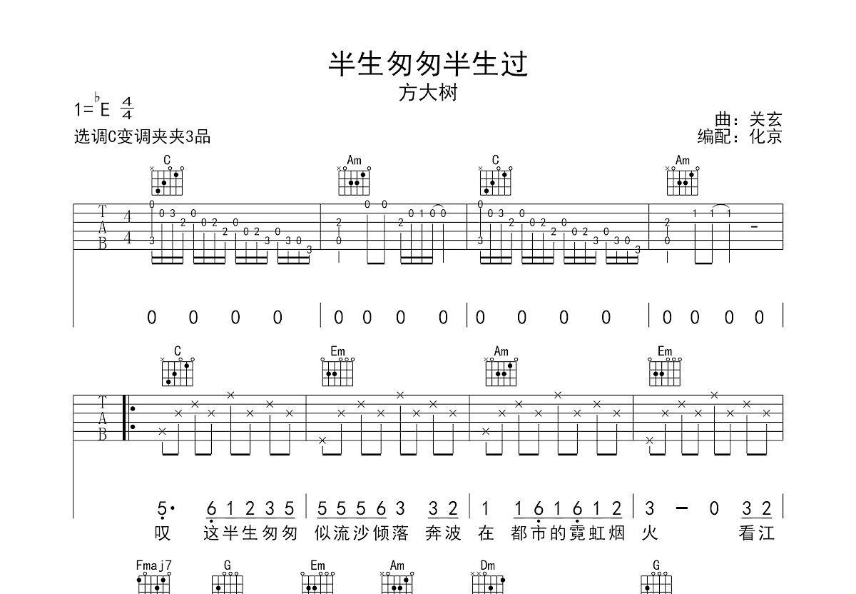 半生匆匆半生过吉他谱预览图