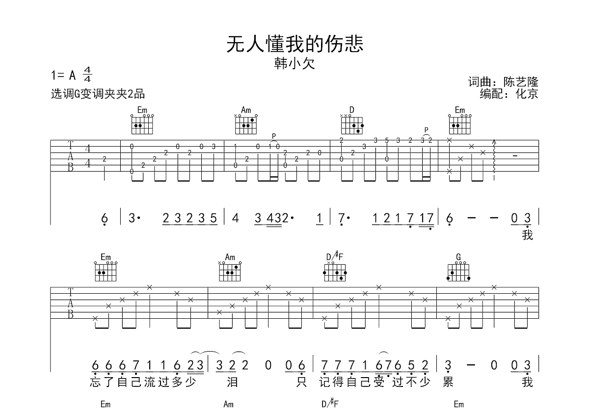 无人懂我的伤悲吉他谱预览图