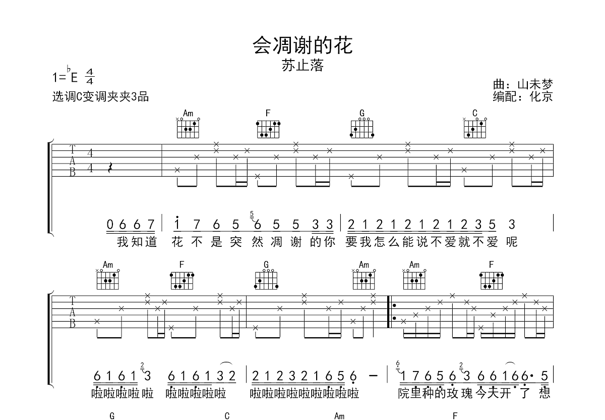 会凋谢的花吉他谱预览图