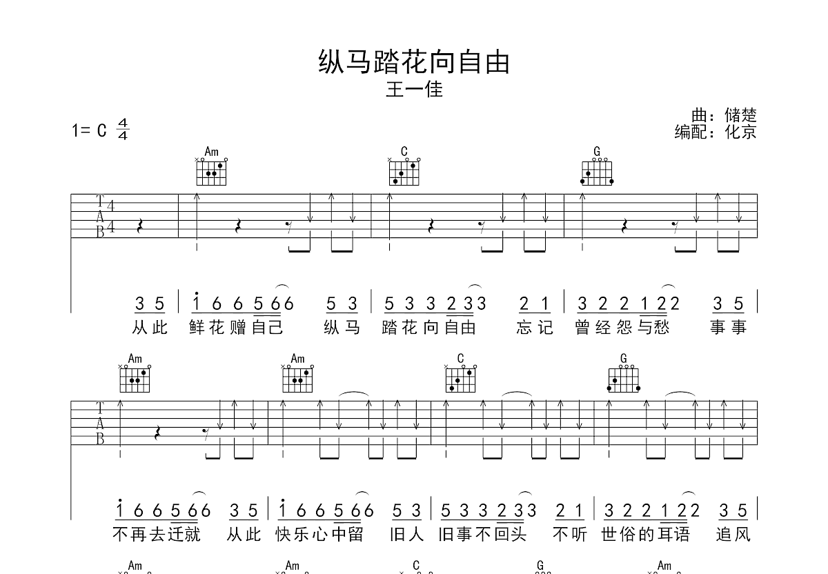 纵马踏花向自由吉他谱预览图