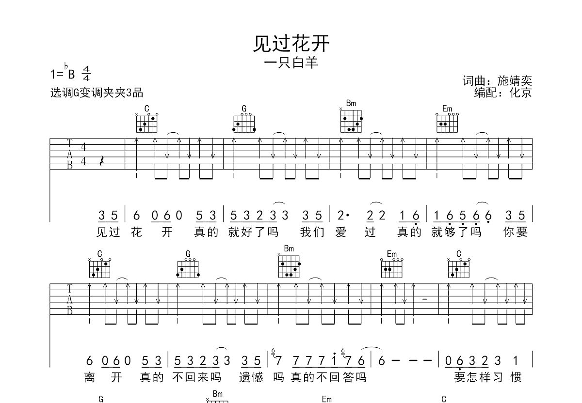 见过花开吉他谱预览图