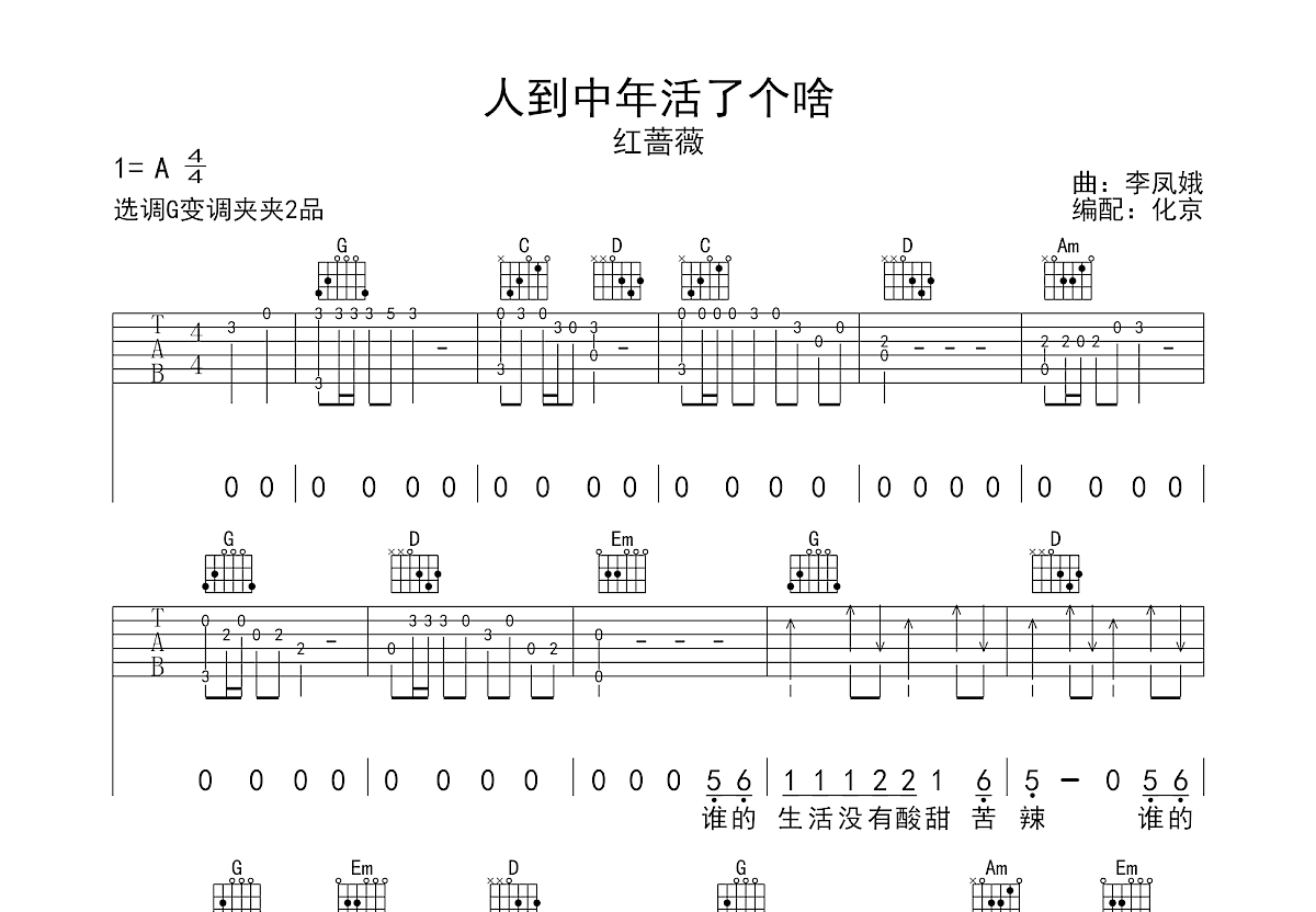 人到中年活了个啥吉他谱预览图