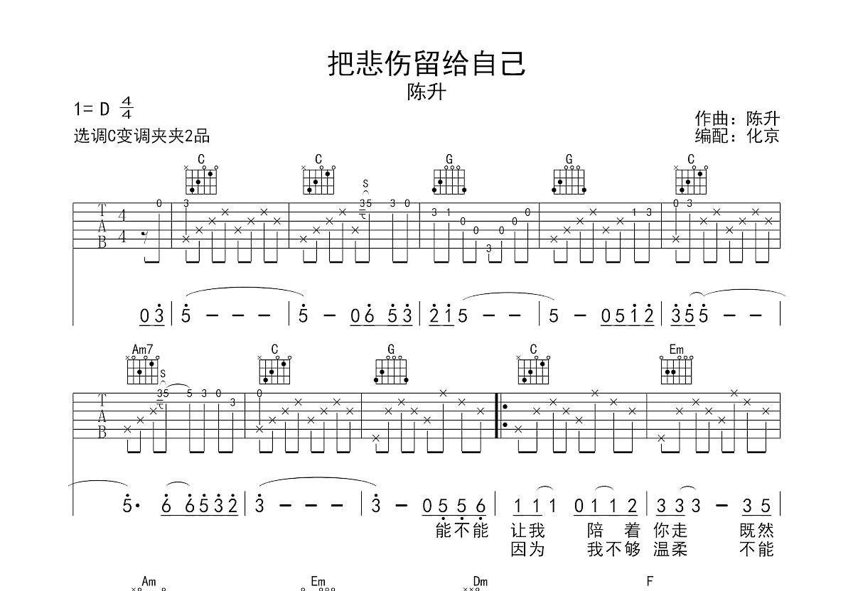 把悲伤留给自己吉他谱预览图