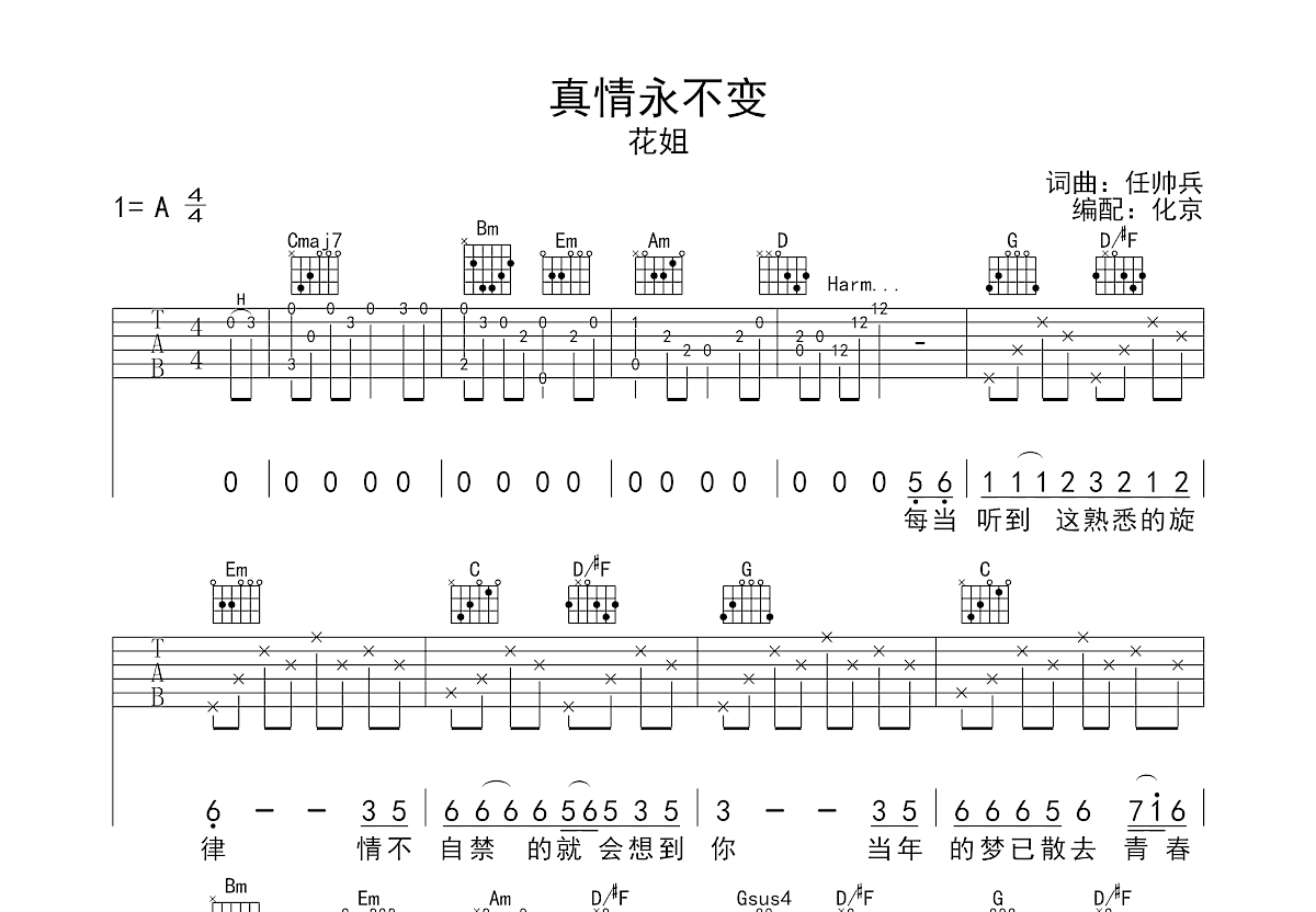 真情永不变吉他谱预览图