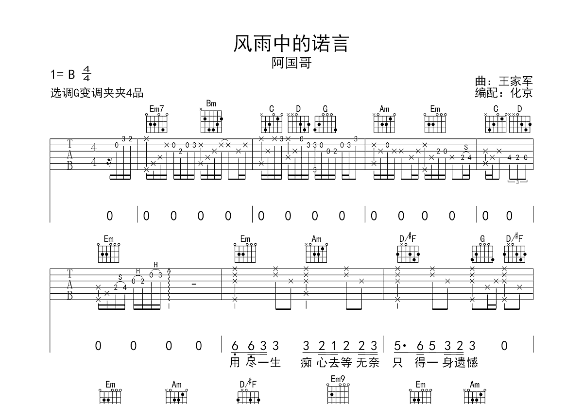 风雨中的诺言吉他谱预览图