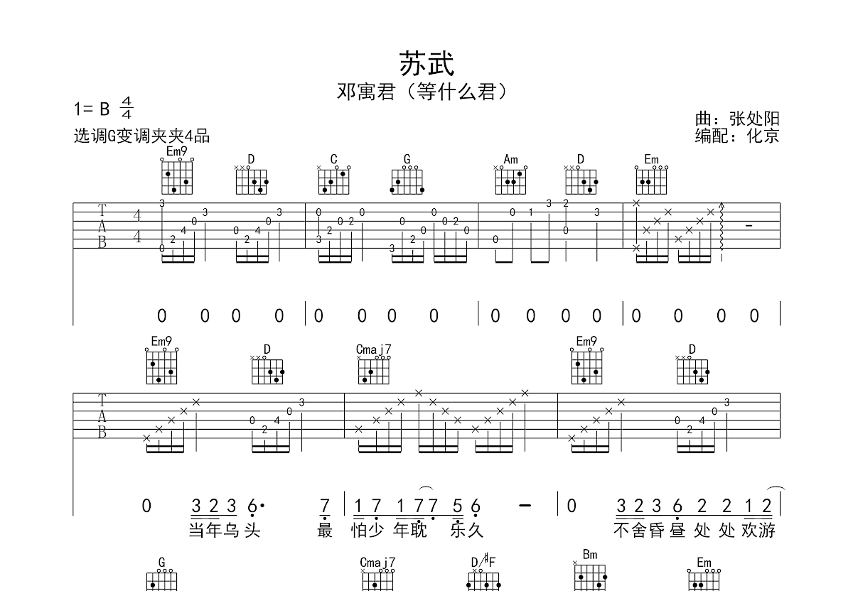 苏武吉他谱预览图