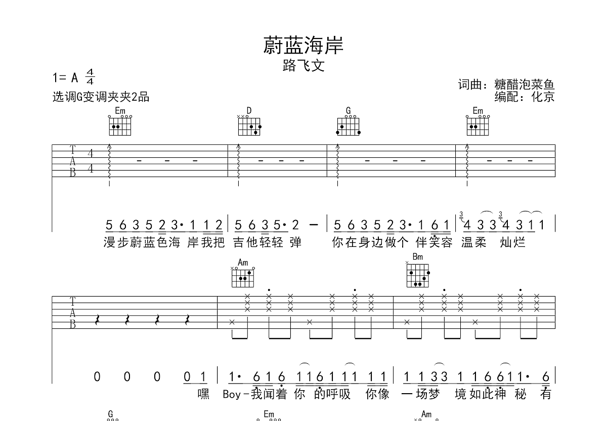 蔚蓝海岸吉他谱预览图