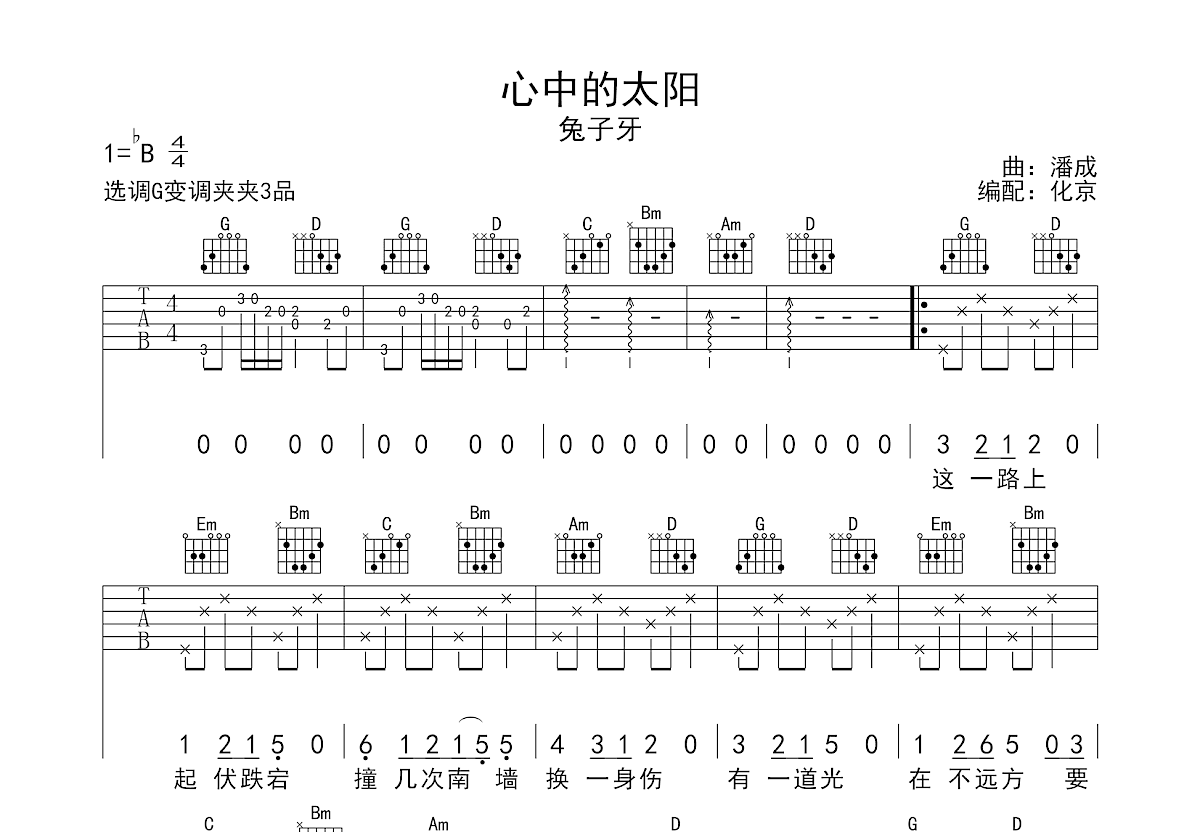 心中的太阳吉他谱预览图